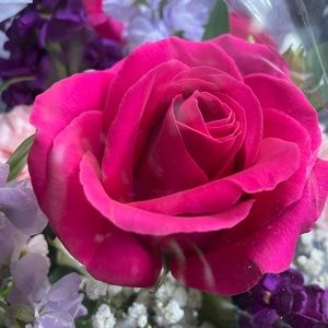 Meet your Posher, Karina